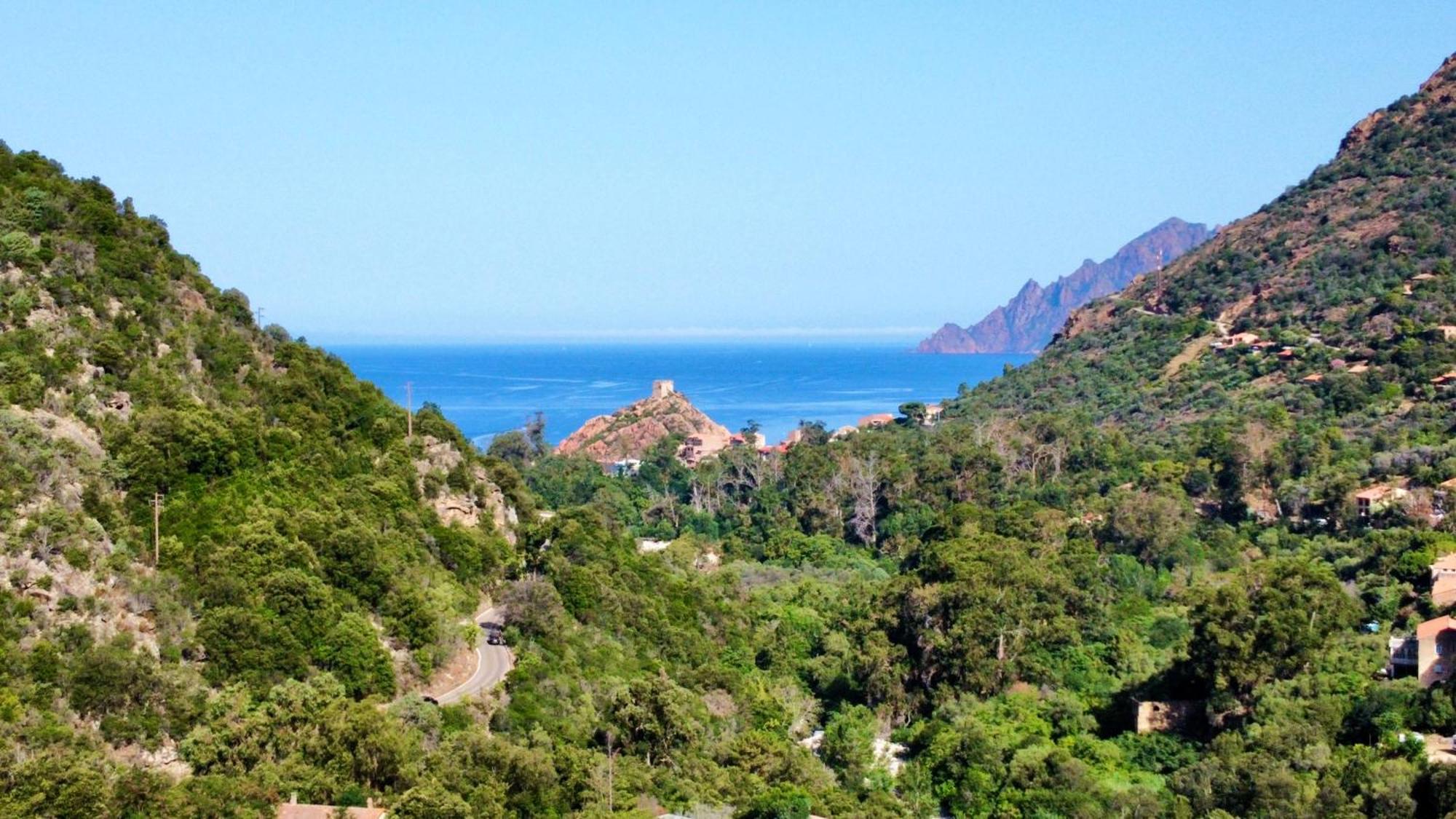 Camping Les Oliviers Porto  Luaran gambar