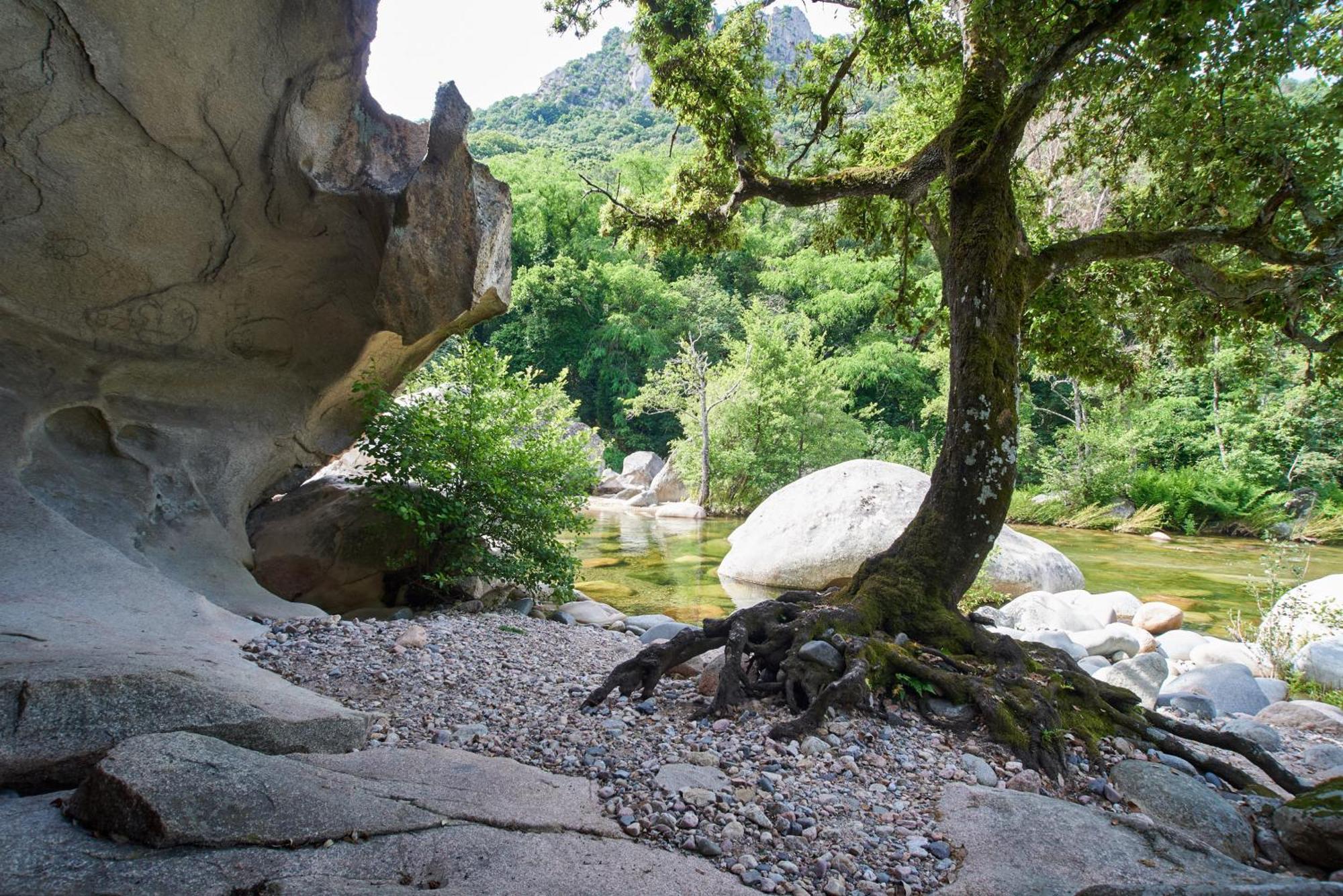 Camping Les Oliviers Porto  Luaran gambar