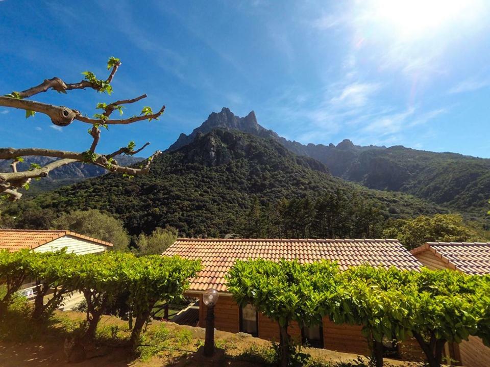 Camping Les Oliviers Porto  Luaran gambar